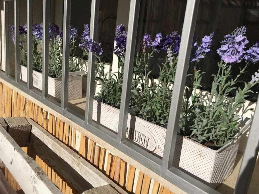 Oak House Oakplacescom レオン エクステリア 写真